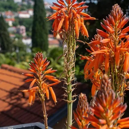 House Mima Vakantiehuis Opatija